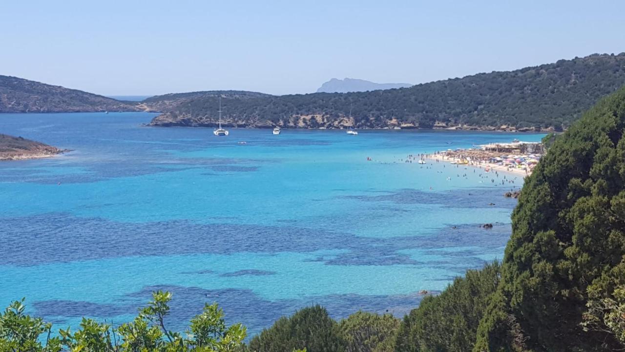 Villa Rosa Chia Εξωτερικό φωτογραφία